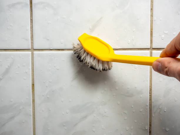 Professional Mold Removal in Lenape Heights, PA