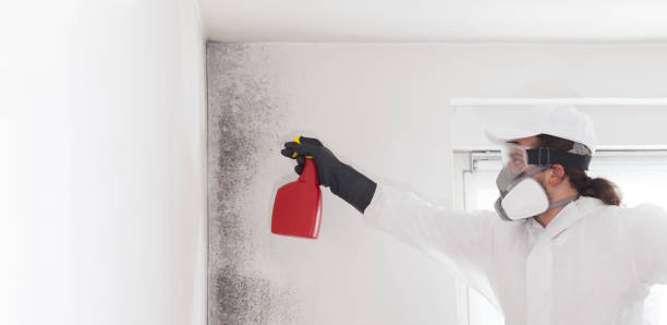 Best Crawl Space Mold Removal  in Lenape Heights, PA