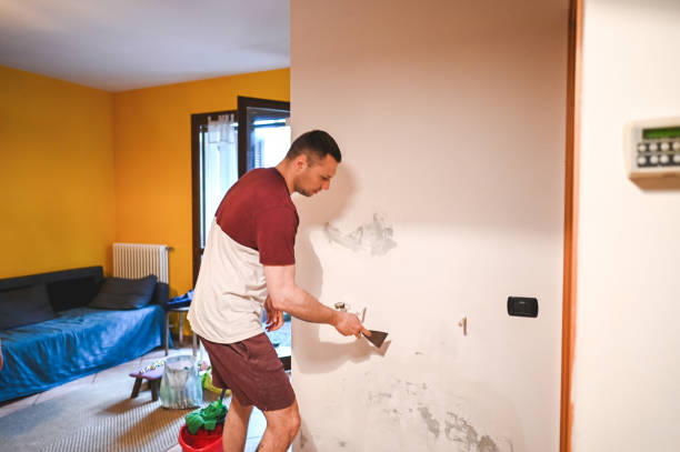 Best Residential Mold Removal  in Lenape Heights, PA